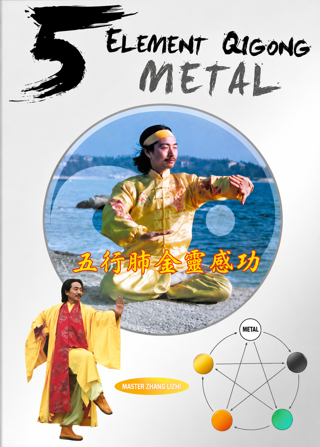 5 Element Qigong: Metal (Lungs) DVD by Yuanming Zhang (Preowned)