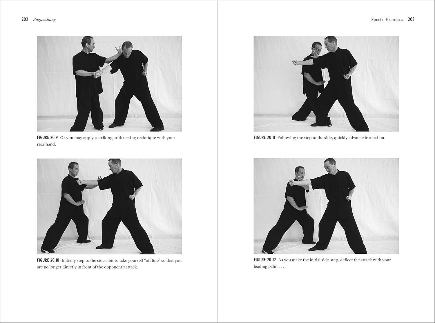 Baguazhang: Fundamentals, Applications, and Footwork Book by Phillip Starr