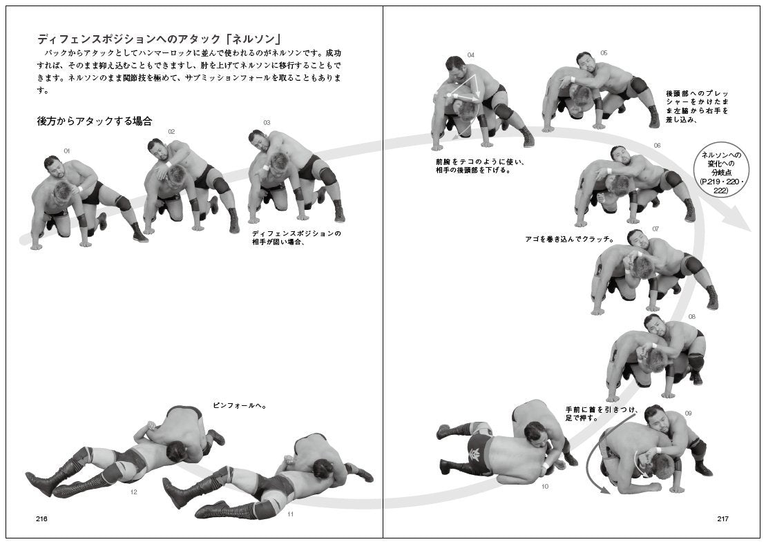 Intro to Catch as Catch Can Wrestling Book by Hideki Suzuki