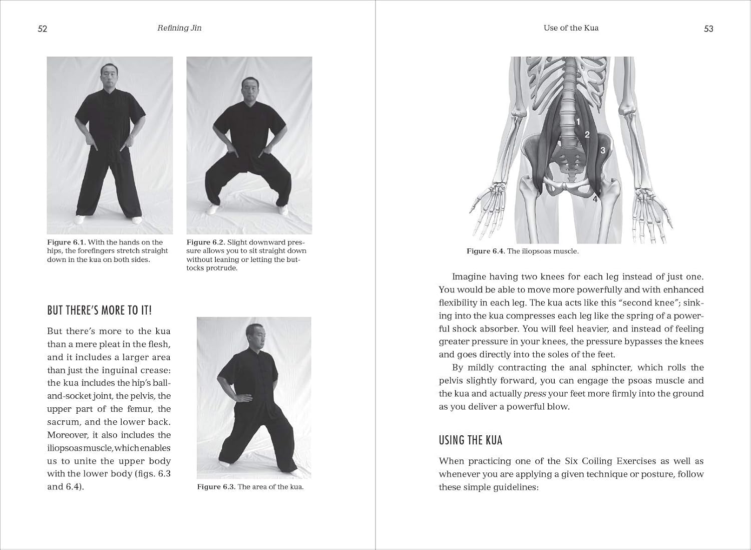 Refining Jin: A Master Class in Coiling Power Book by Phillip Starr