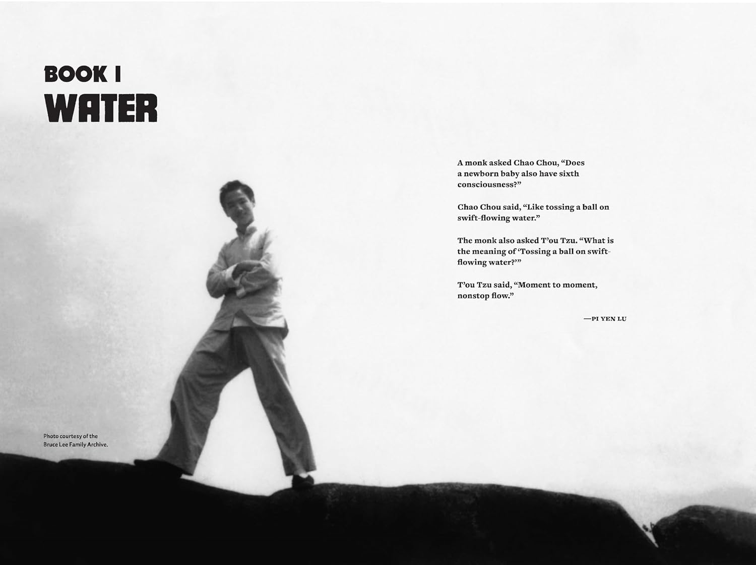 Water Mirror Echo: Bruce Lee and the Making of Asian America Book by Jeff Chang (Hardcover)