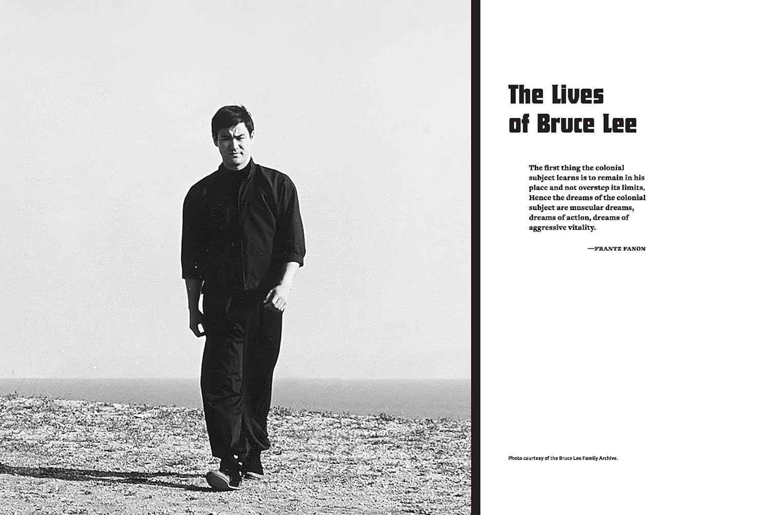 Water Mirror Echo: Bruce Lee and the Making of Asian America Book by Jeff Chang (Hardcover)