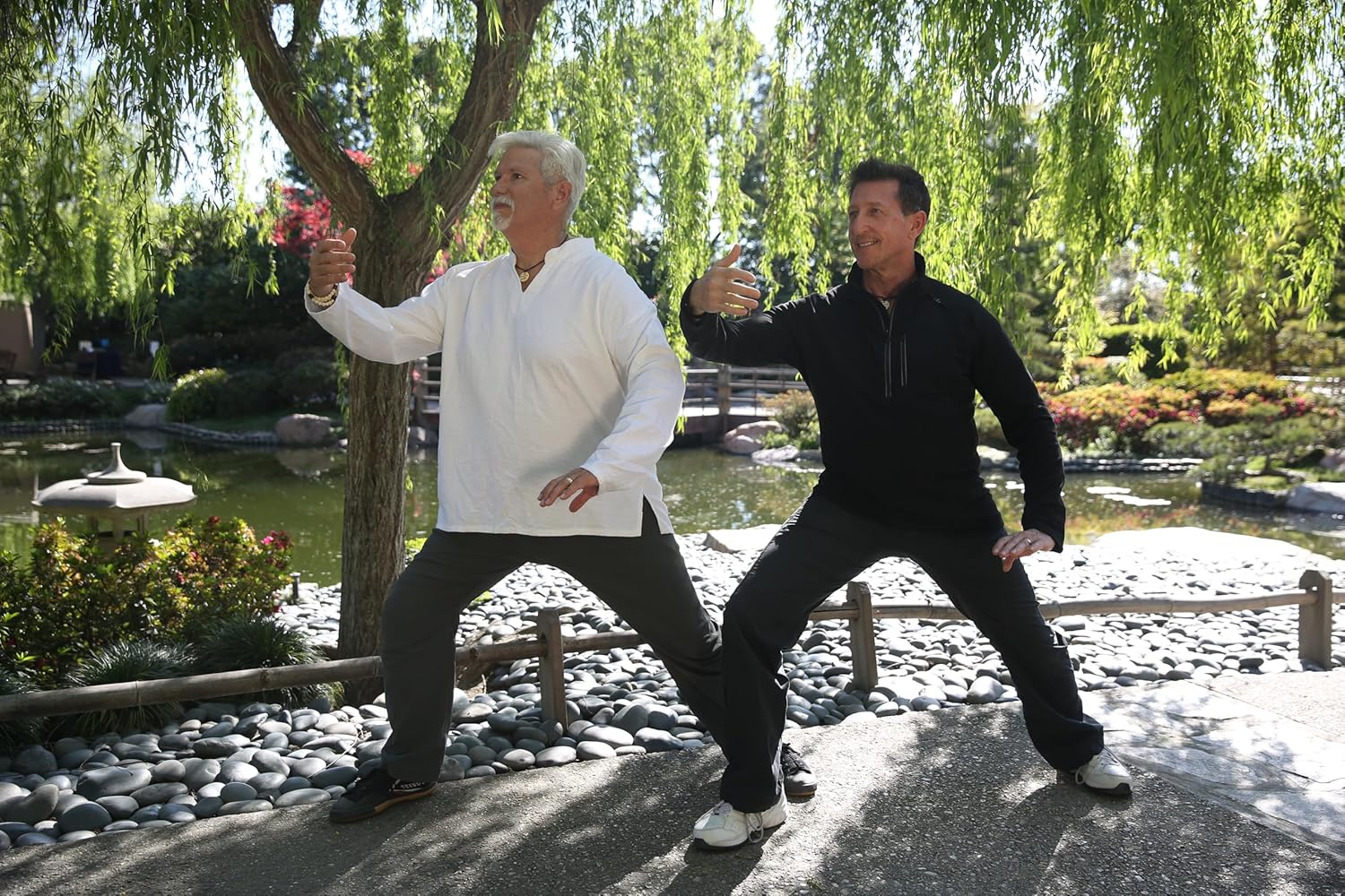 Tai Chi Fit To Go DVD with David-Dorian Ross
