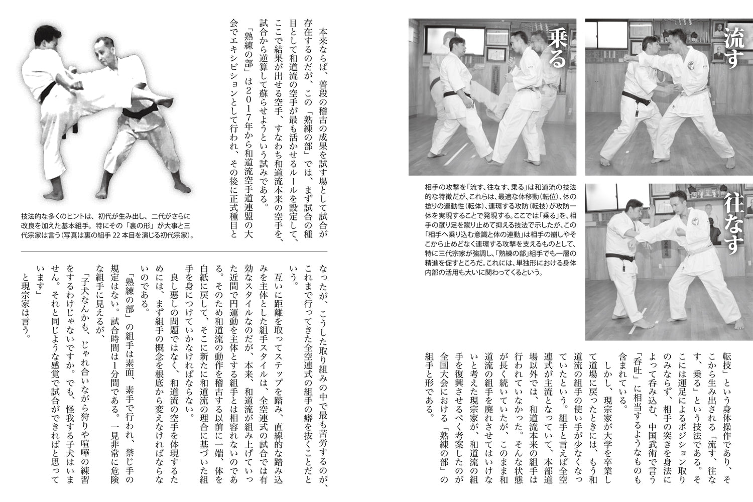 The Essence of the Four Major Karate Schools Book