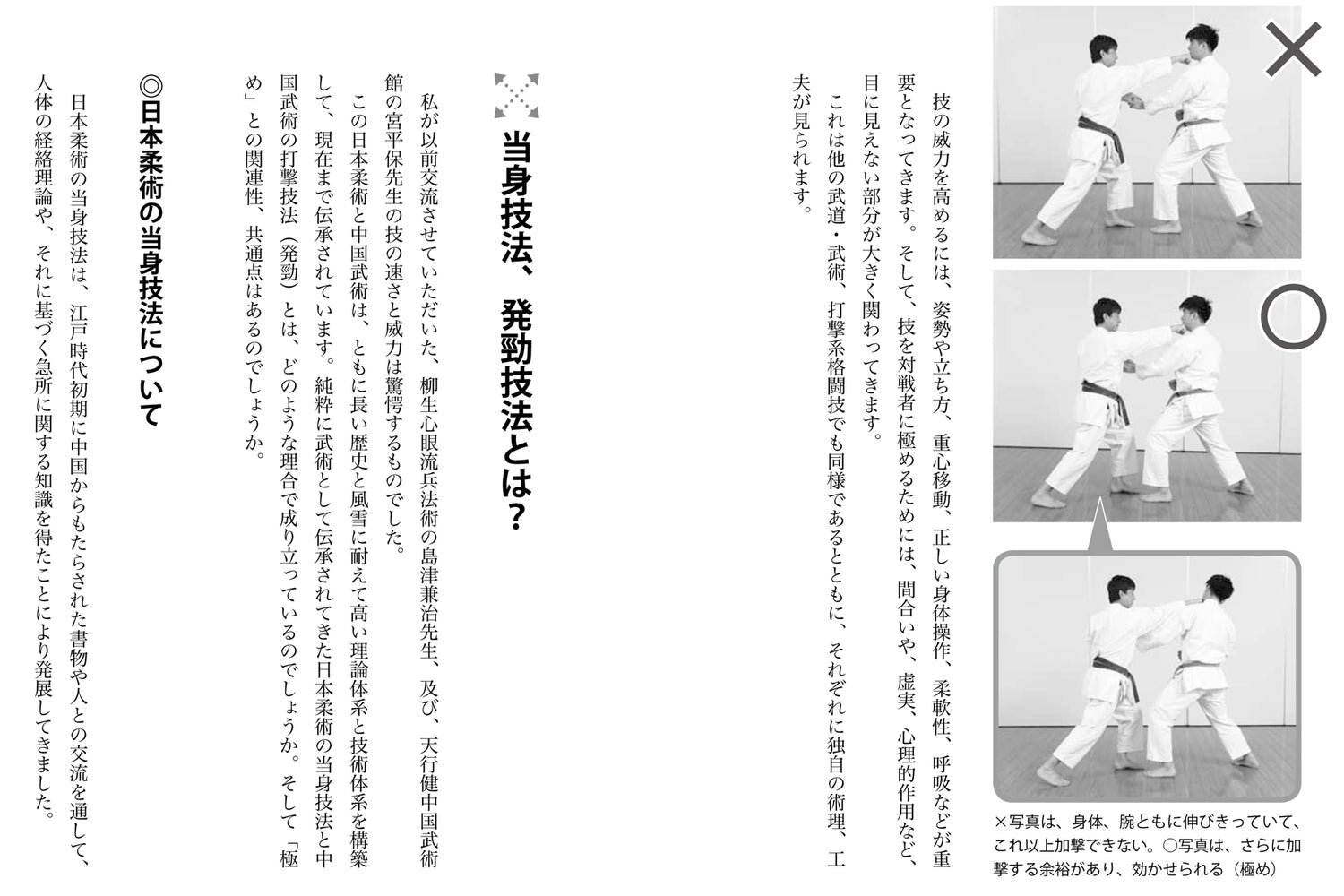 The Origins of Karate Book by Tatsuya Naka