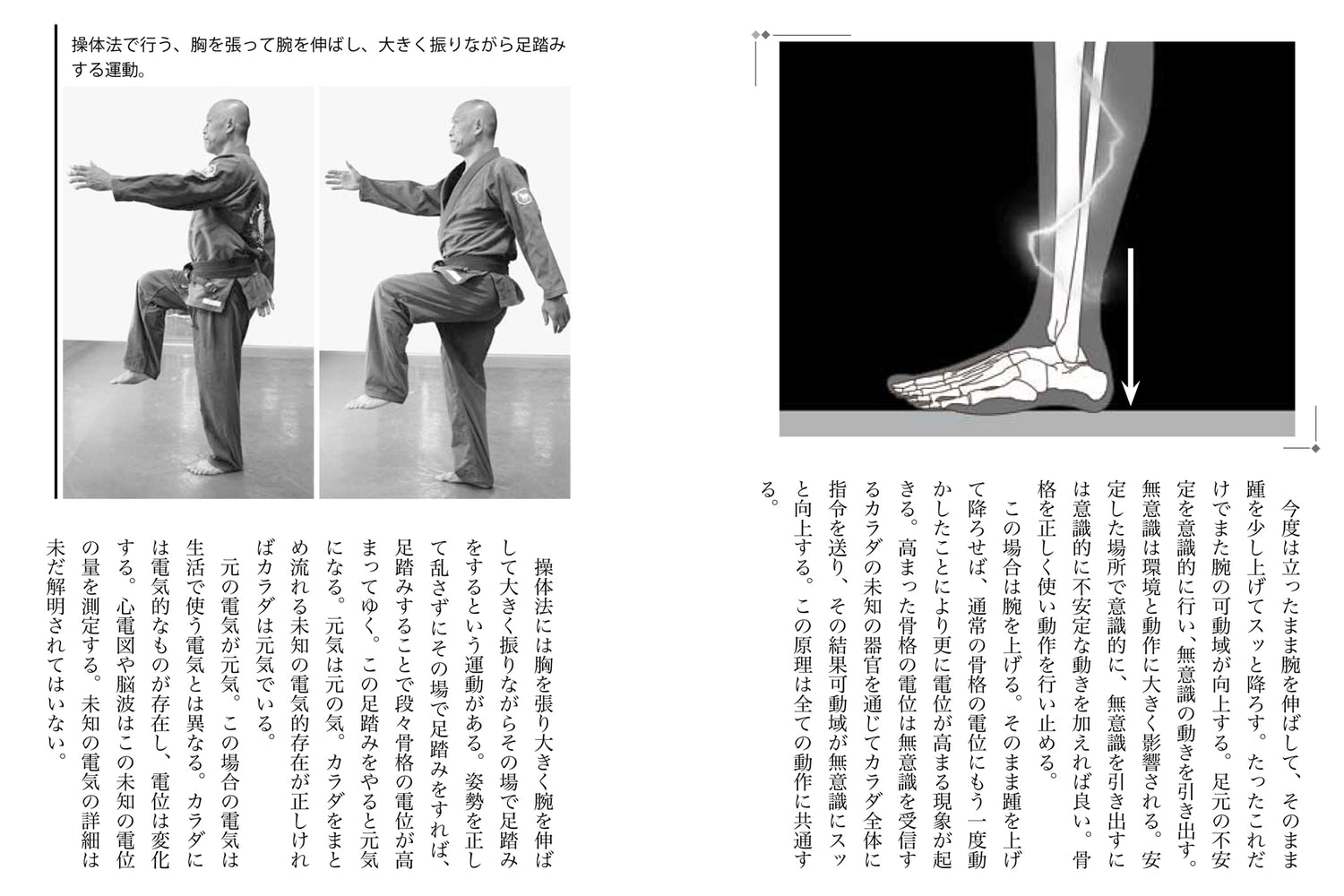 The Speed of Your Body Exceeds the Speed of Your Thoughts! Book by Naoyuki Taira