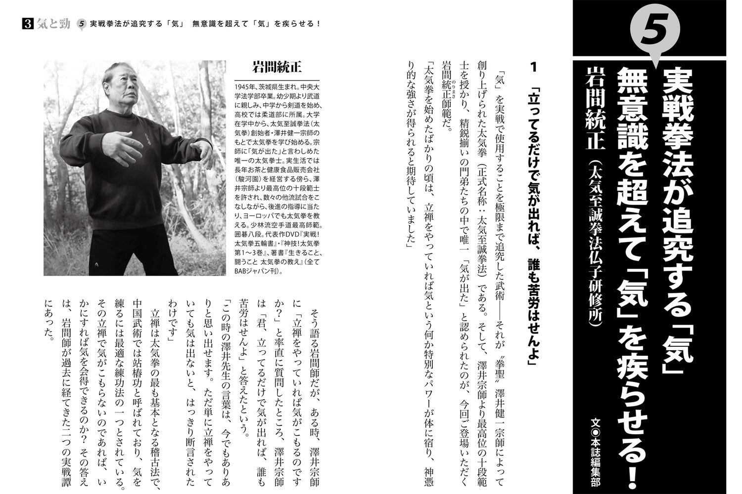 Chinese Martial Arts Are Strong Book