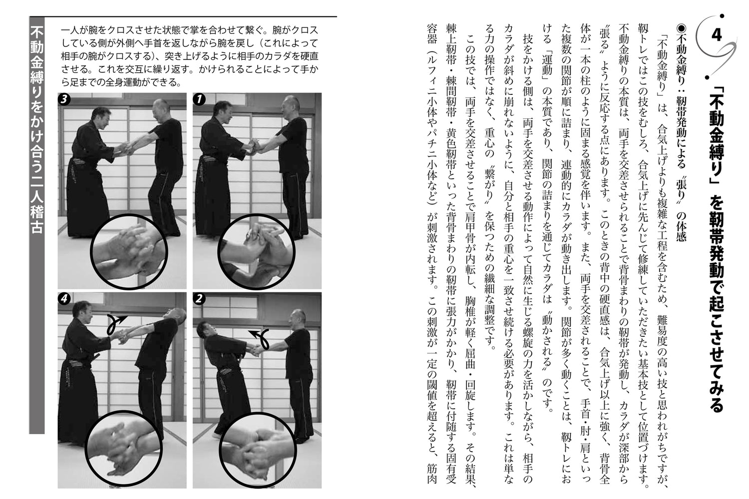 Flexibility Training for Martial Arts and Combat Sports Book by Hisanori Kato