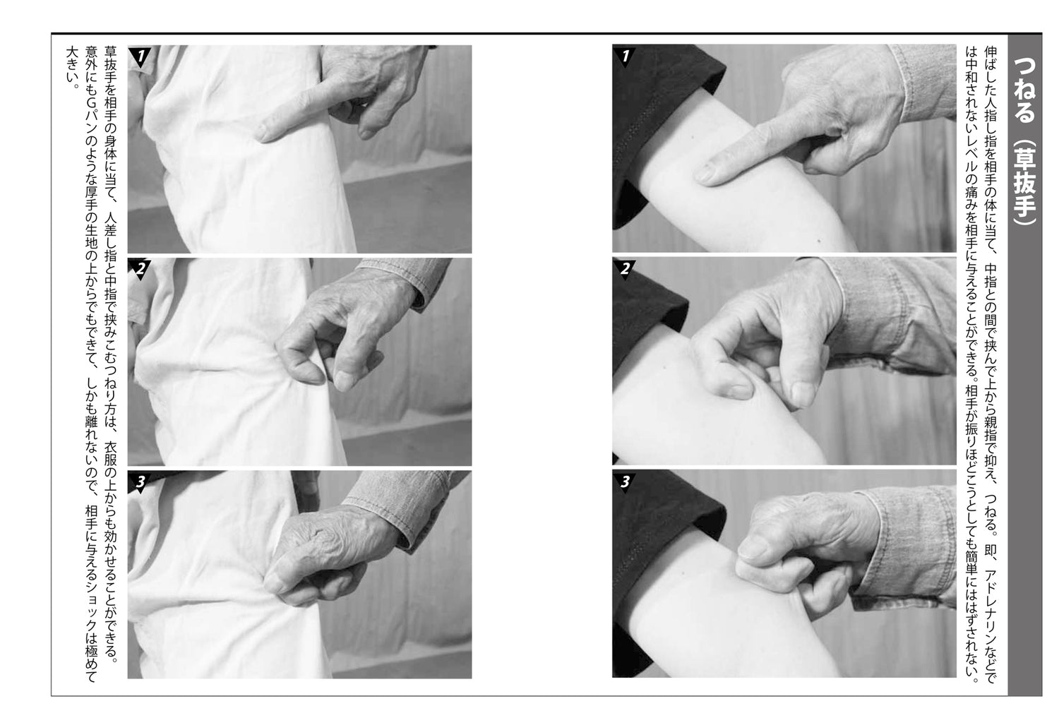 Painful Techniques Book by Shosui Iwaki