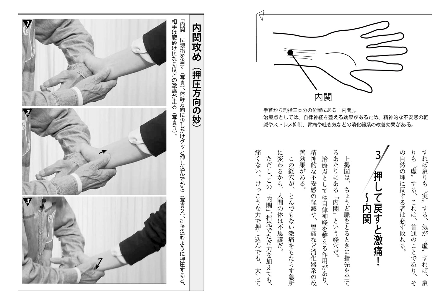 Painful Techniques Book by Shosui Iwaki