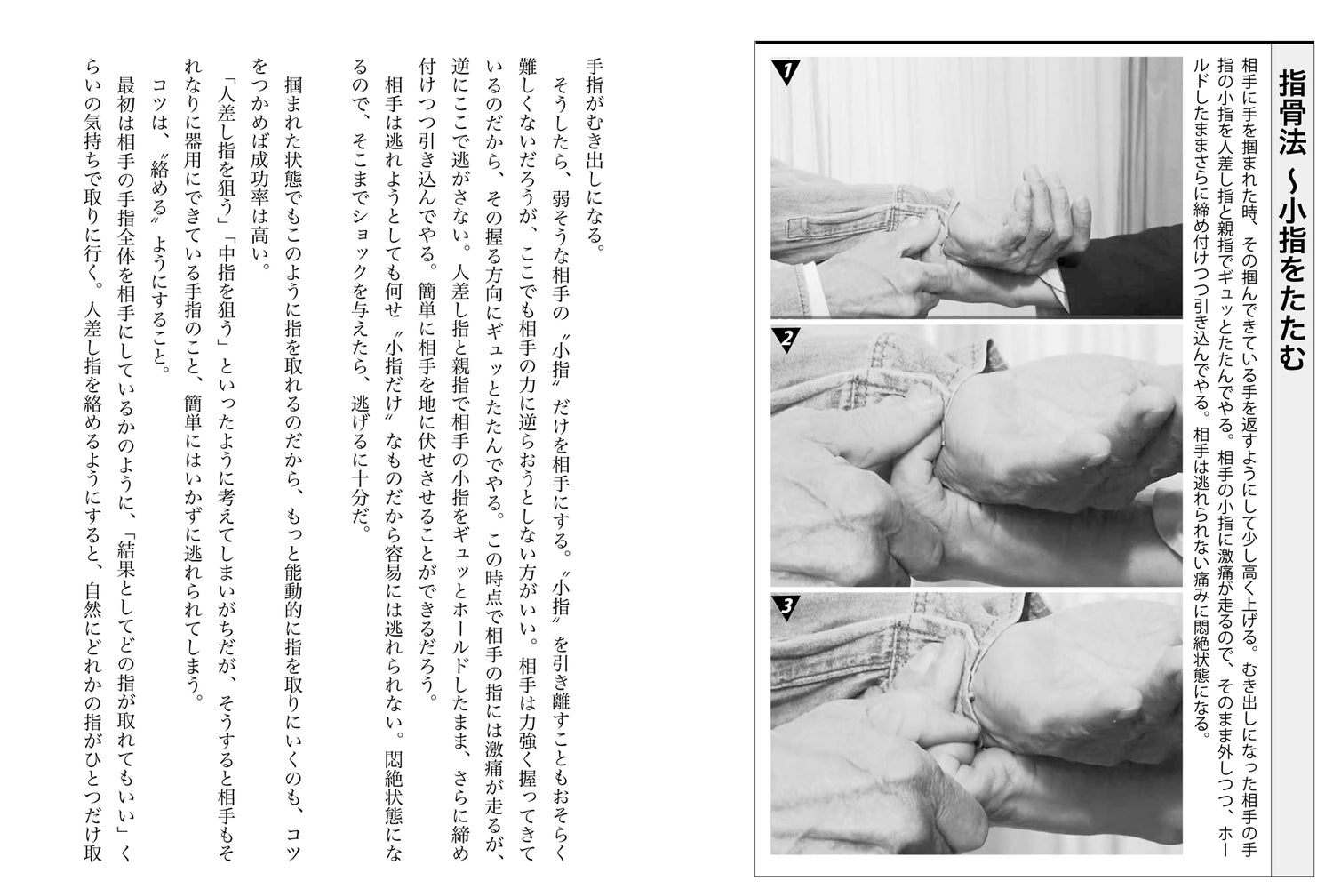 Painful Techniques Book by Shosui Iwaki