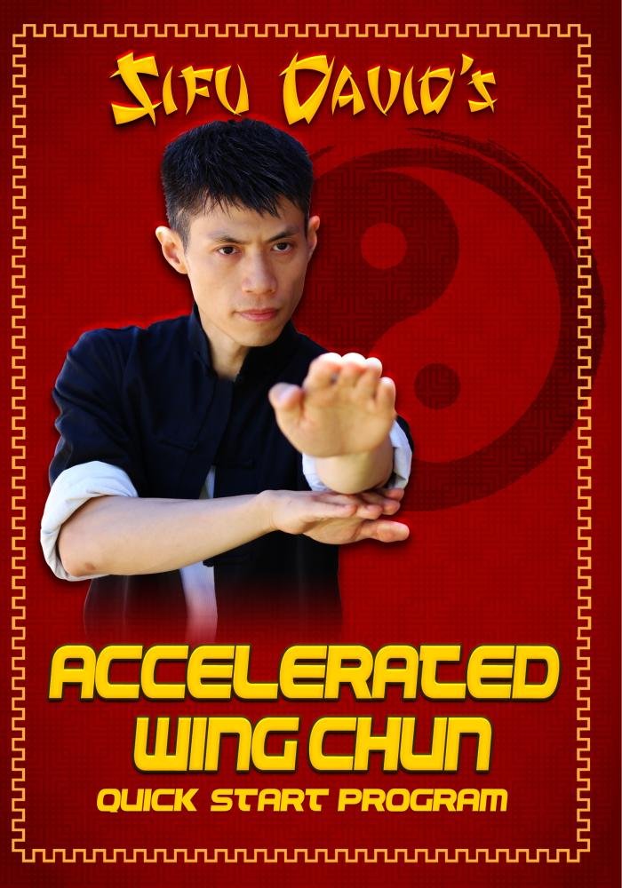 Accelerated Wing Chun Quick Start Program DVD by Sifu David