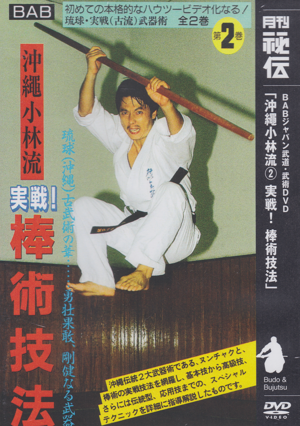 Actual Fighting: Art of Bo Fighting DVD with Kazumasa Yokoyama