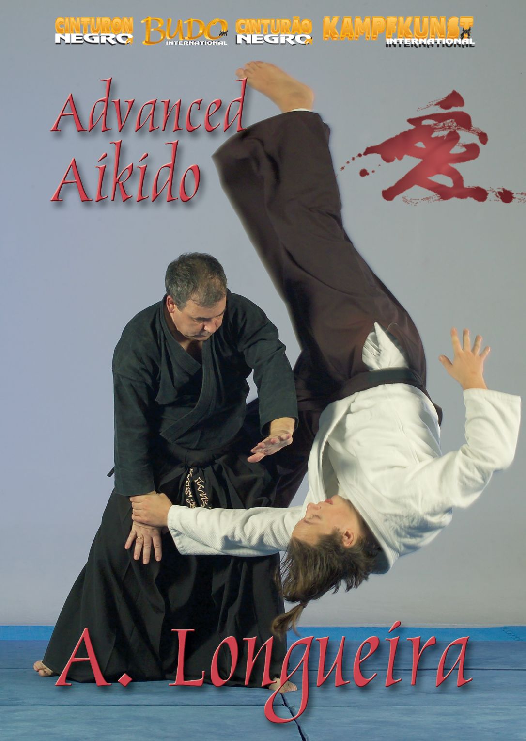 Advanced Aikido DVD by Alfonso Longueira