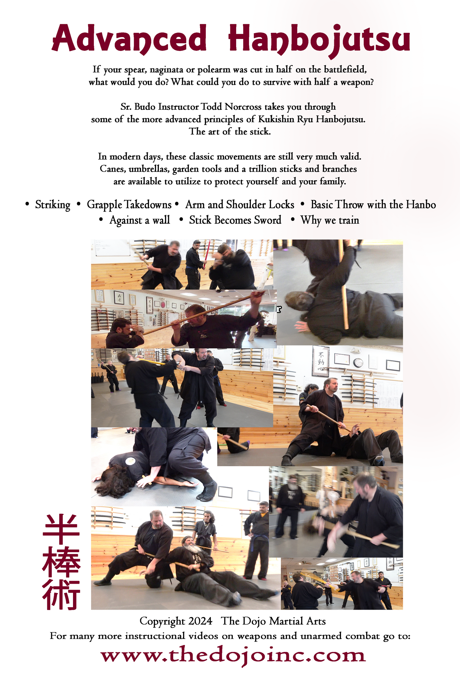 Advanced Hanbojutsu DVD by Todd Norcross
