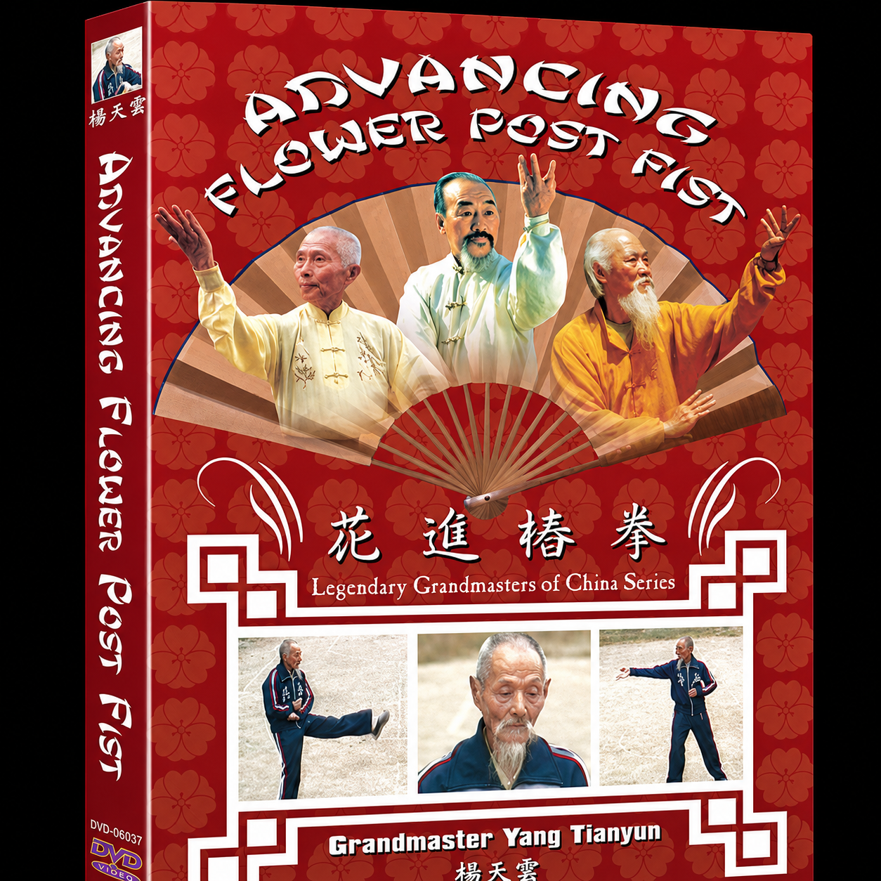 Advancing Flower Post Fist DVD by Yang Tianyun