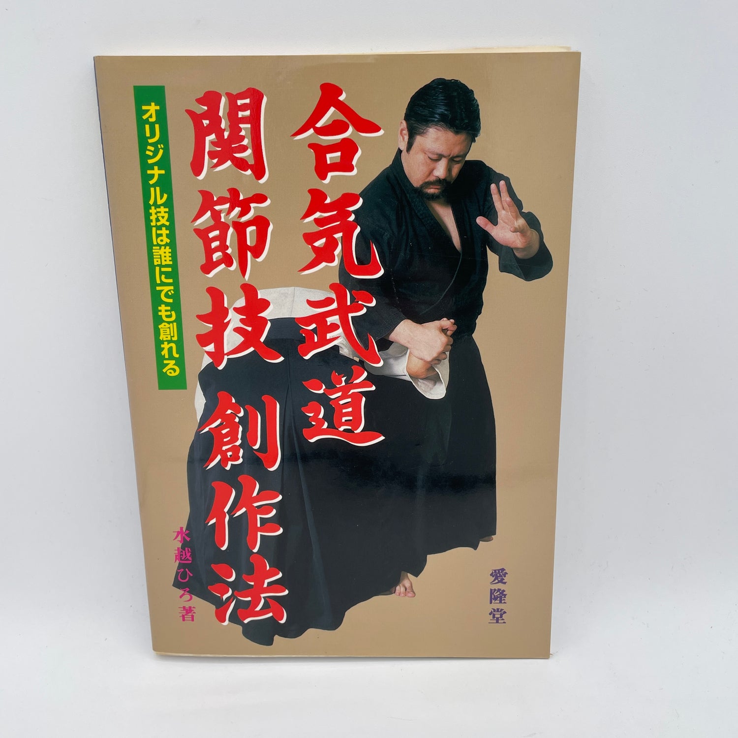 Aiki Budo Joint Lock Book by Hiro Mizukoshi (Preowned)