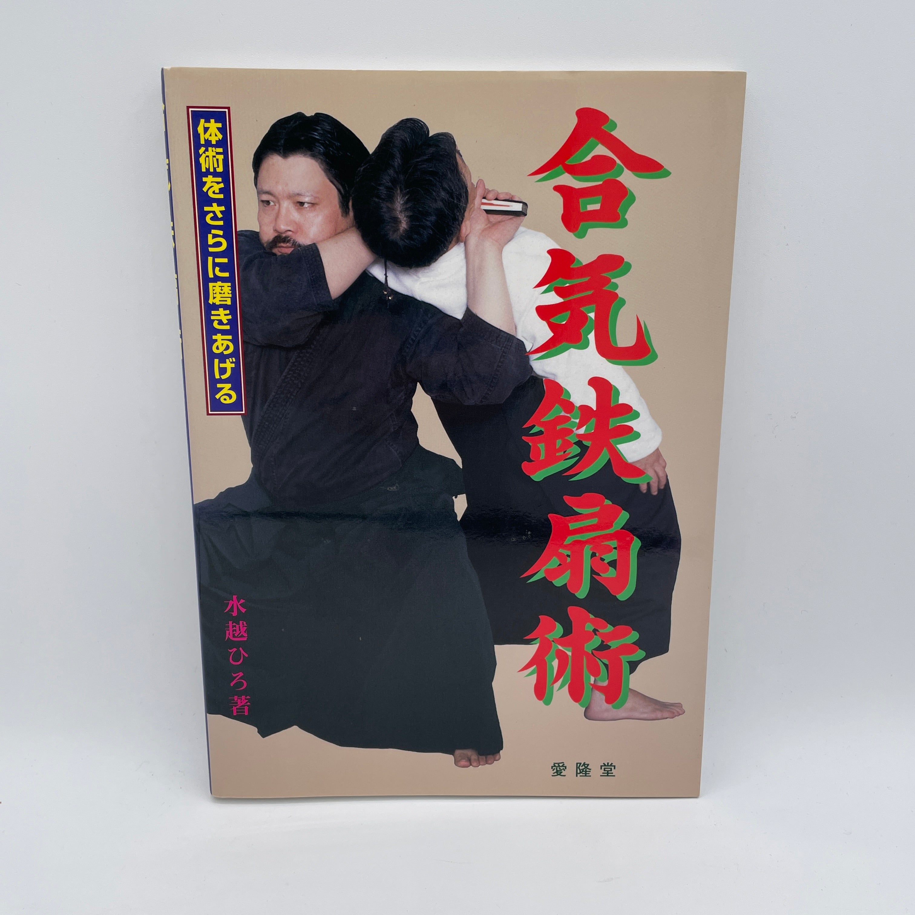 合気鉄仙術本 水越ヒロ (中古) – Budovideos Inc