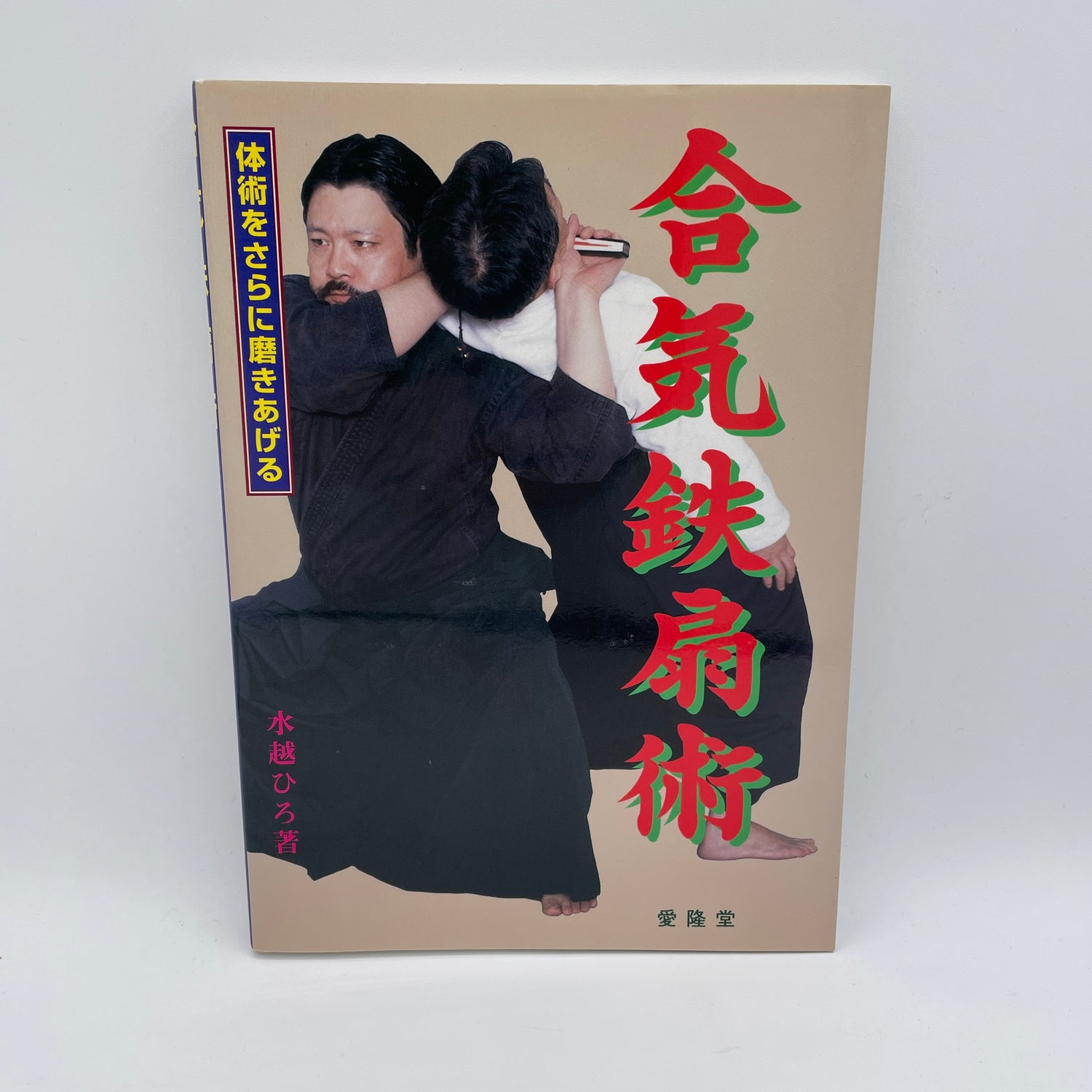Libro Aiki Tessenjutsu de Hiro Mizukoshi (usado)
