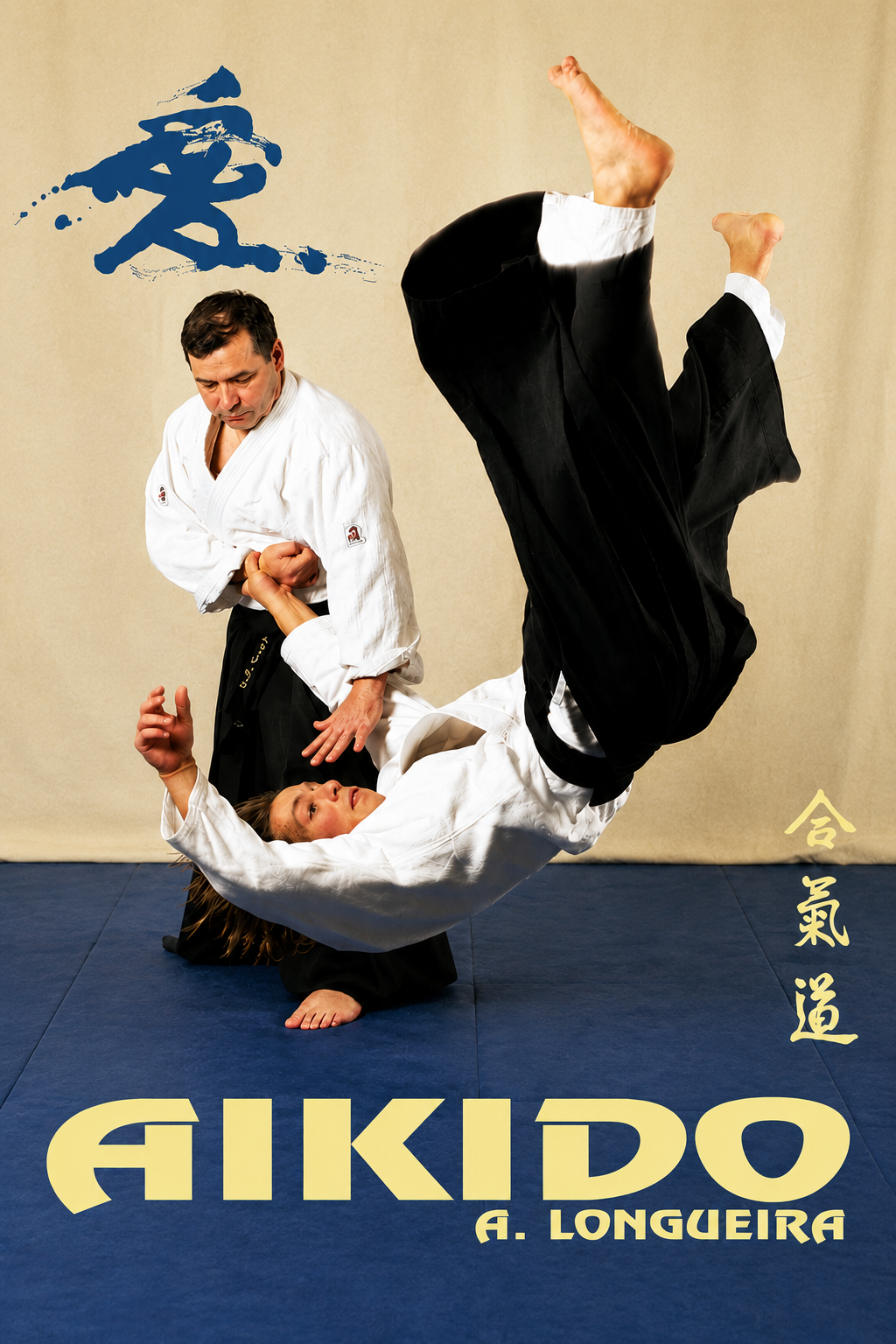 Aikido DVD by Alfonso Longueira