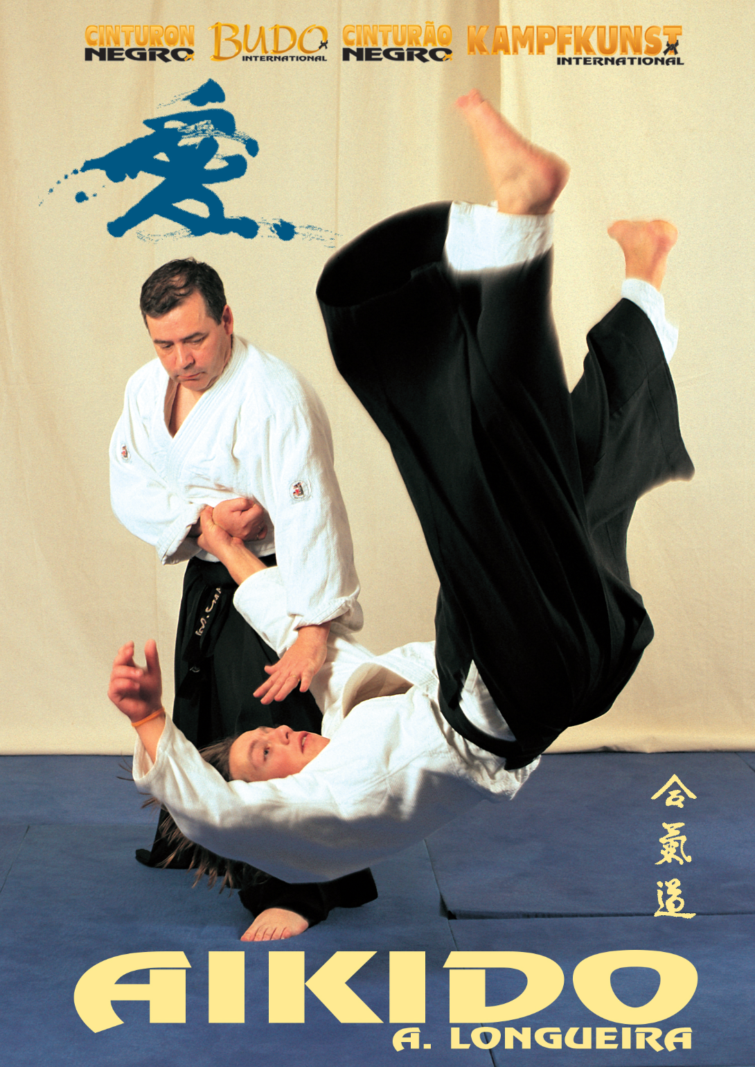 Aikido DVD by Alfonso Longueira