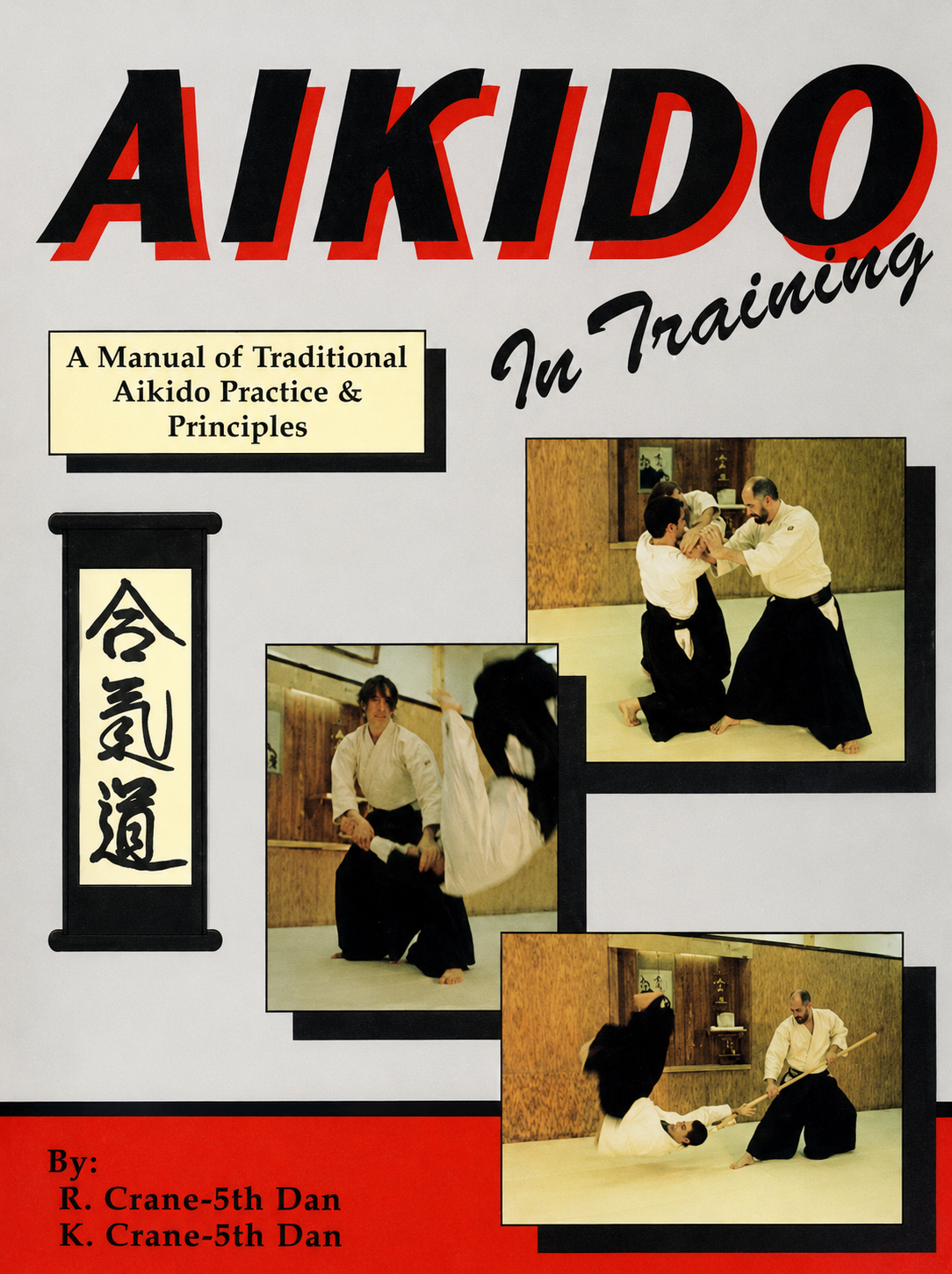 Aikido In Training: A Manual of Traditional Aikido Practice & Principles Book by Richard & Kathy Crane (Preowned)