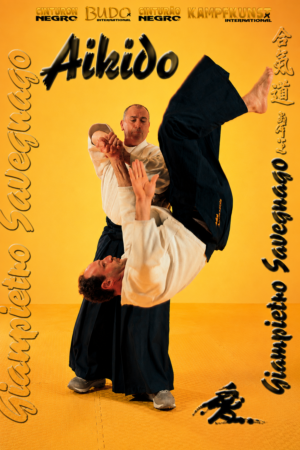 Aikido Kobayashi Ryu DVD with Giampietro Savegnago