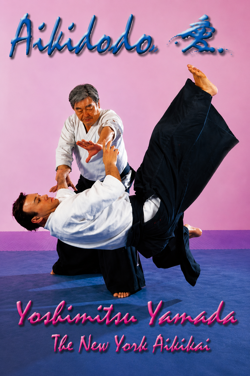 Aikido Technique DVD by Yoshimitsu Yamada