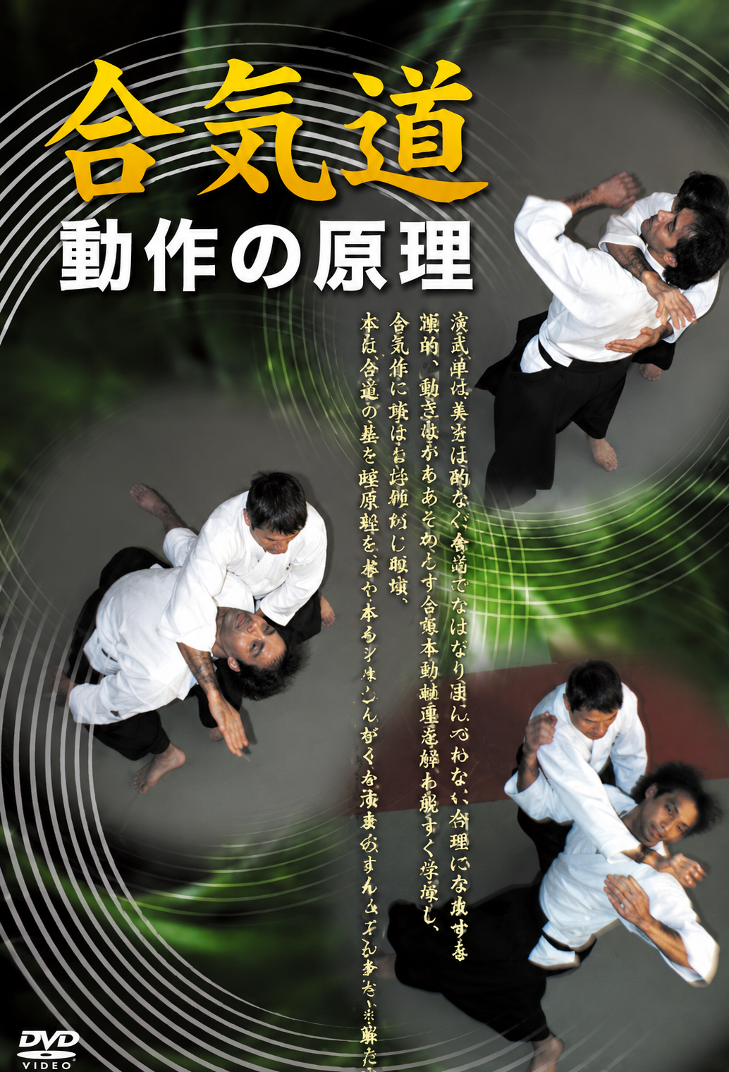 Aikido Theory of Motion DVD by Alain Guerrier