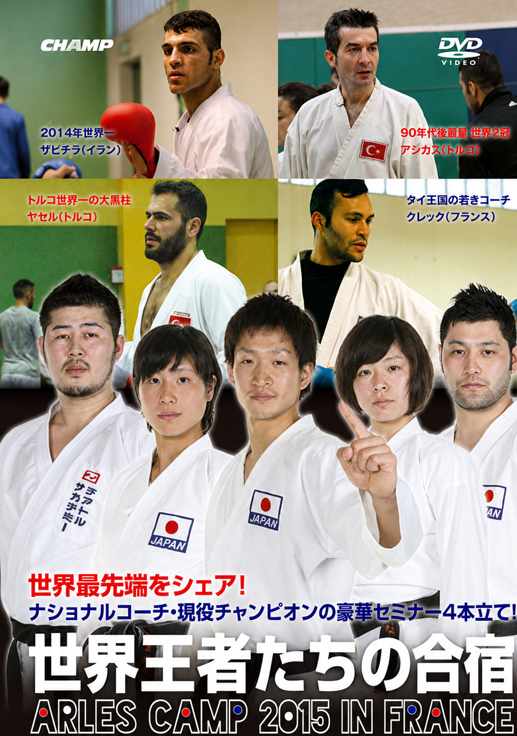 Campamento de Karate de Arles en Francia 2015 DVD