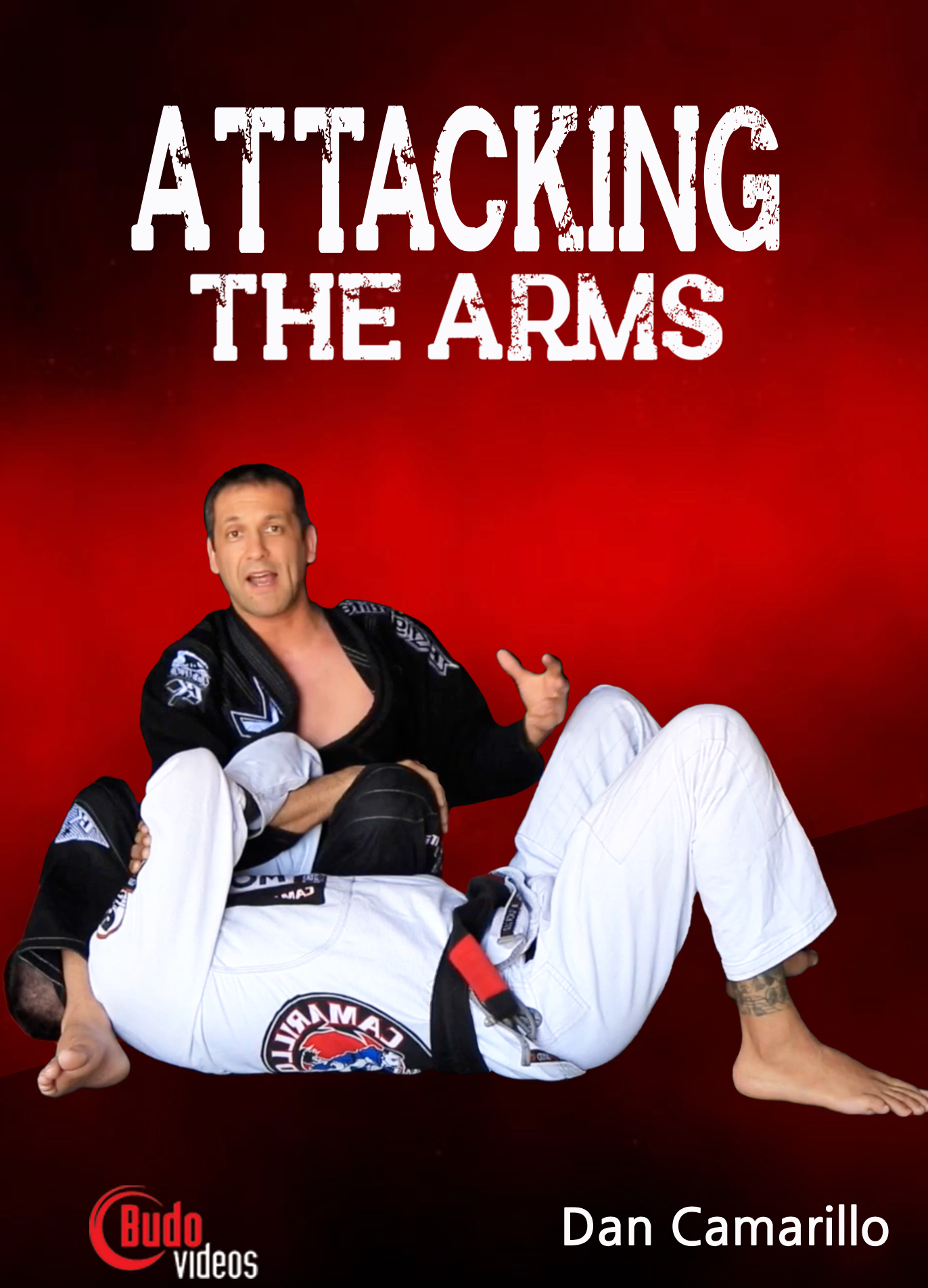 Attacking the Arms DVD by Dan Camarillo