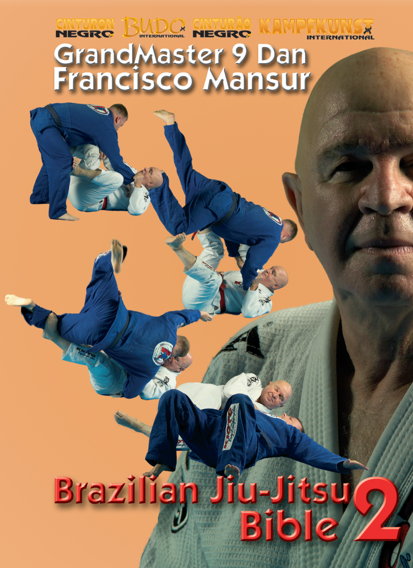 BJJ Bible Vol 2 DVD by Francisco Mansur