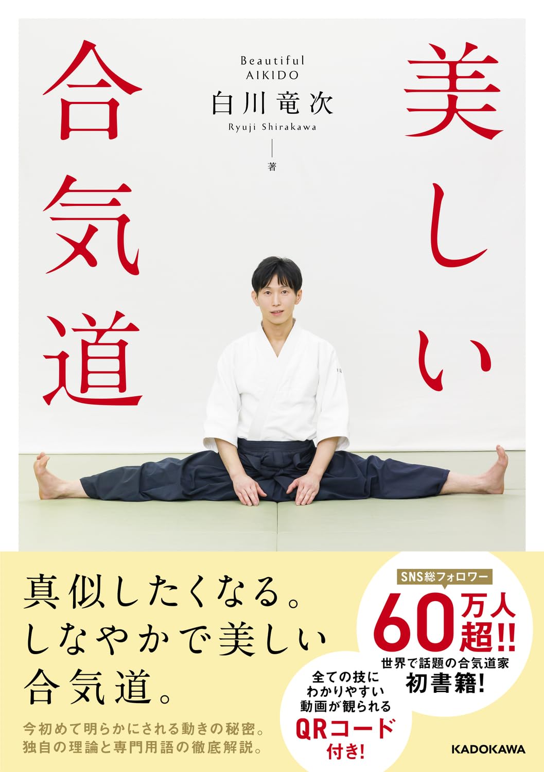 Beautiful Aikido Book w QR Codes by Ryuji Shirakawa