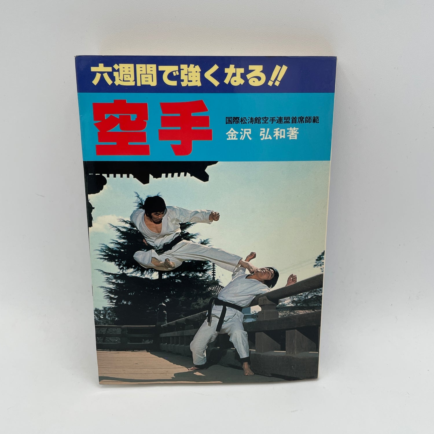 ¡Hazte más fuerte en Karate en 6 semanas! Libro de Hirokazu Kanazawa (Usado)