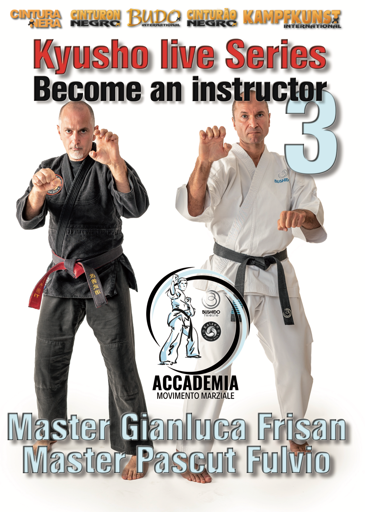 Become a Kyusho Instructor DVD 3 by Gianluca Frisan