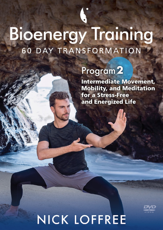 Bioenergy Training 60 DAY TRANSFORMATION PROGRAM 2 DVD by Nick Loffree