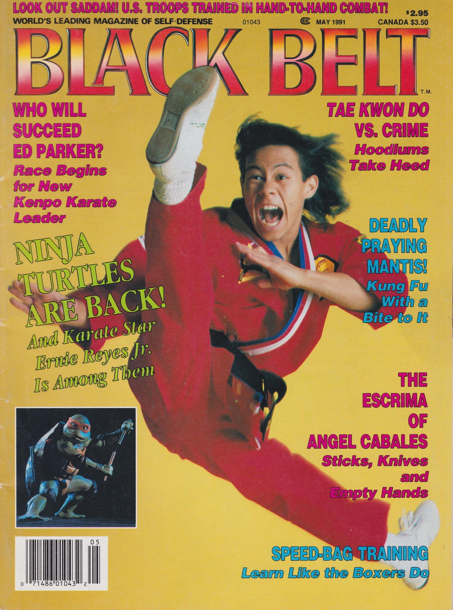 Black Belt Magazine May 1991 (Preowned)