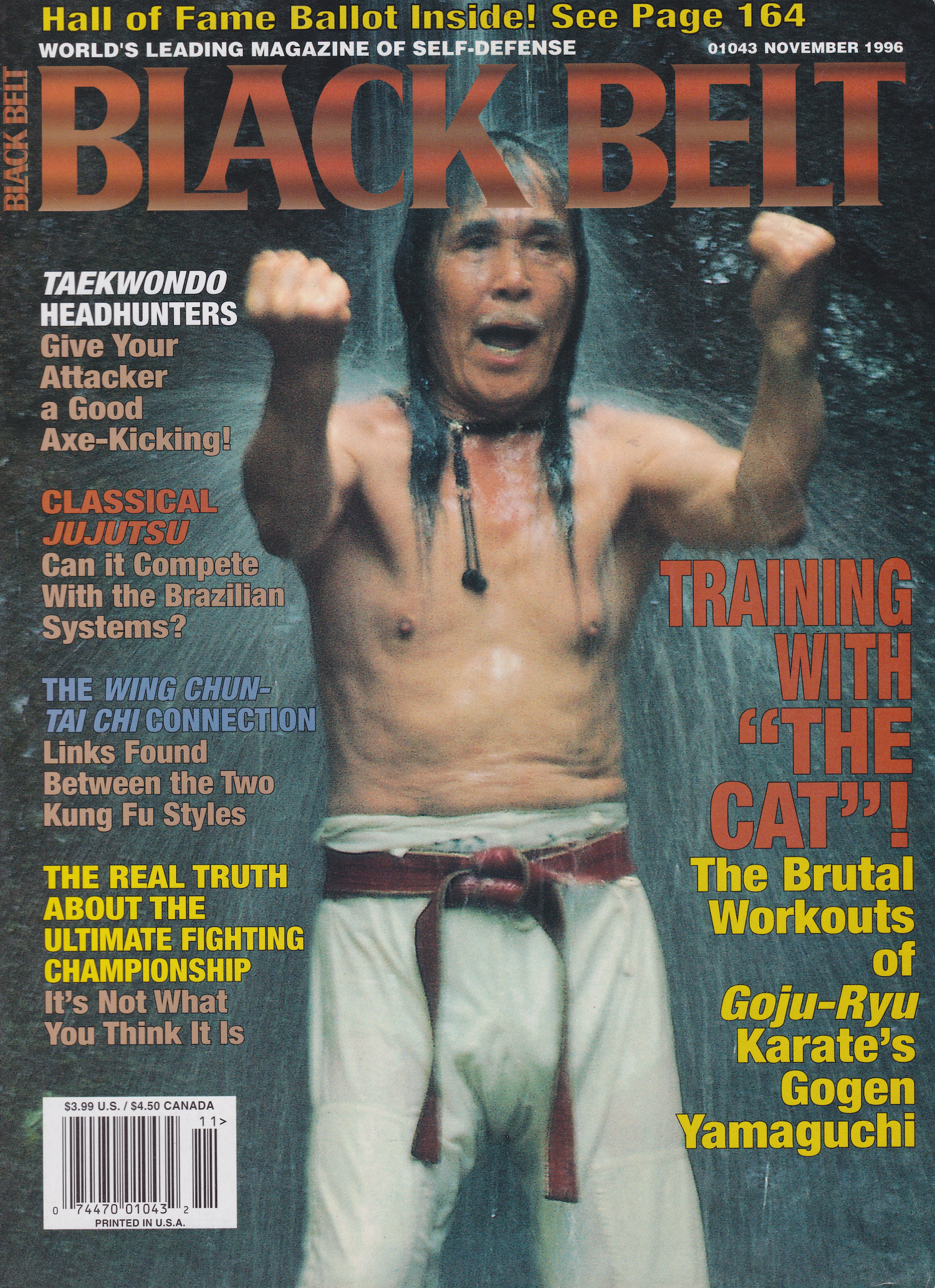 Black Belt Magazine Nov 1996 (Preowned)