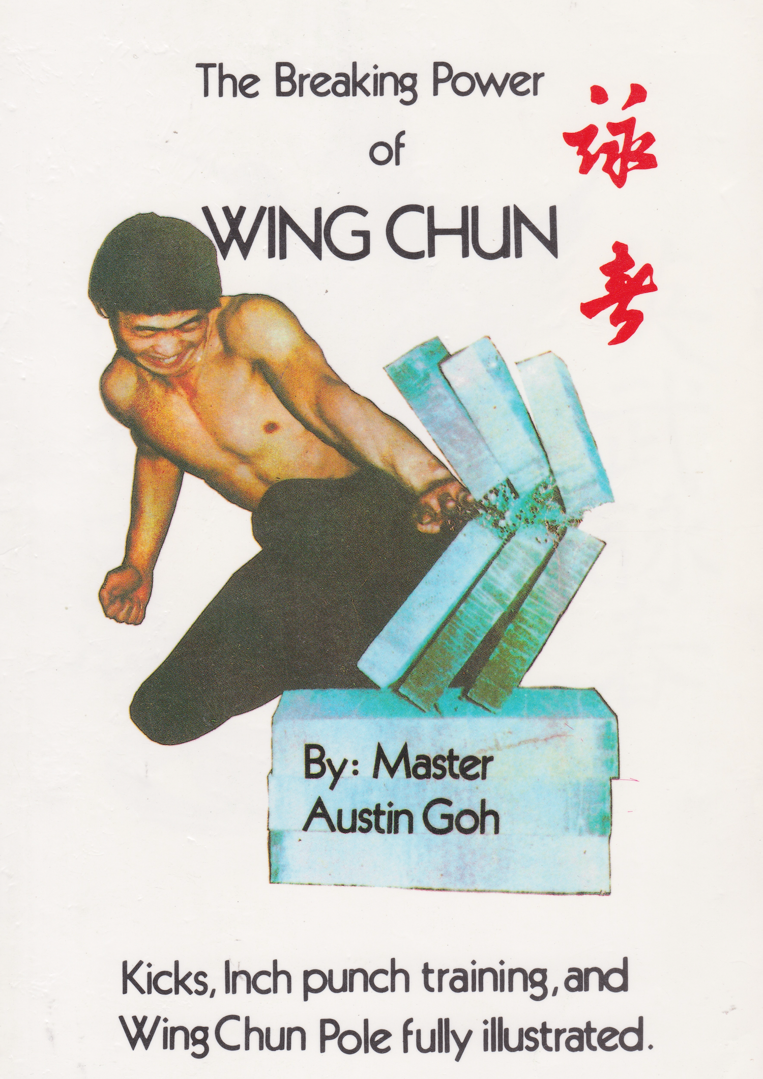 Breaking Power of Wing Chun Book by Austin Goh (Preowned)