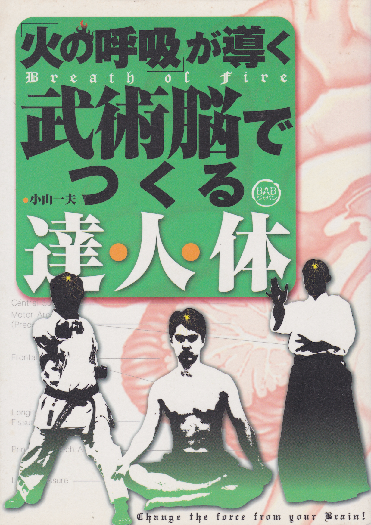 Breath of Fire Creates the Master Body Through the Martial Arts Brain Book by Kazuo Koyama (Preowned)