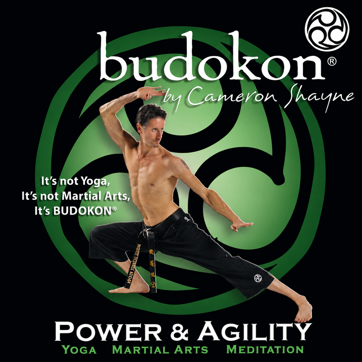 Budokon Power & Agility DVD by Cameron Shayne
