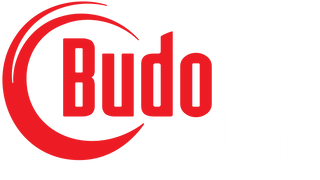 Budovideos
