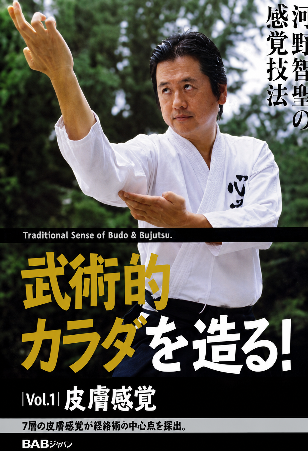 Bujutsu Body Development DVD 1 by Chisei Kono
