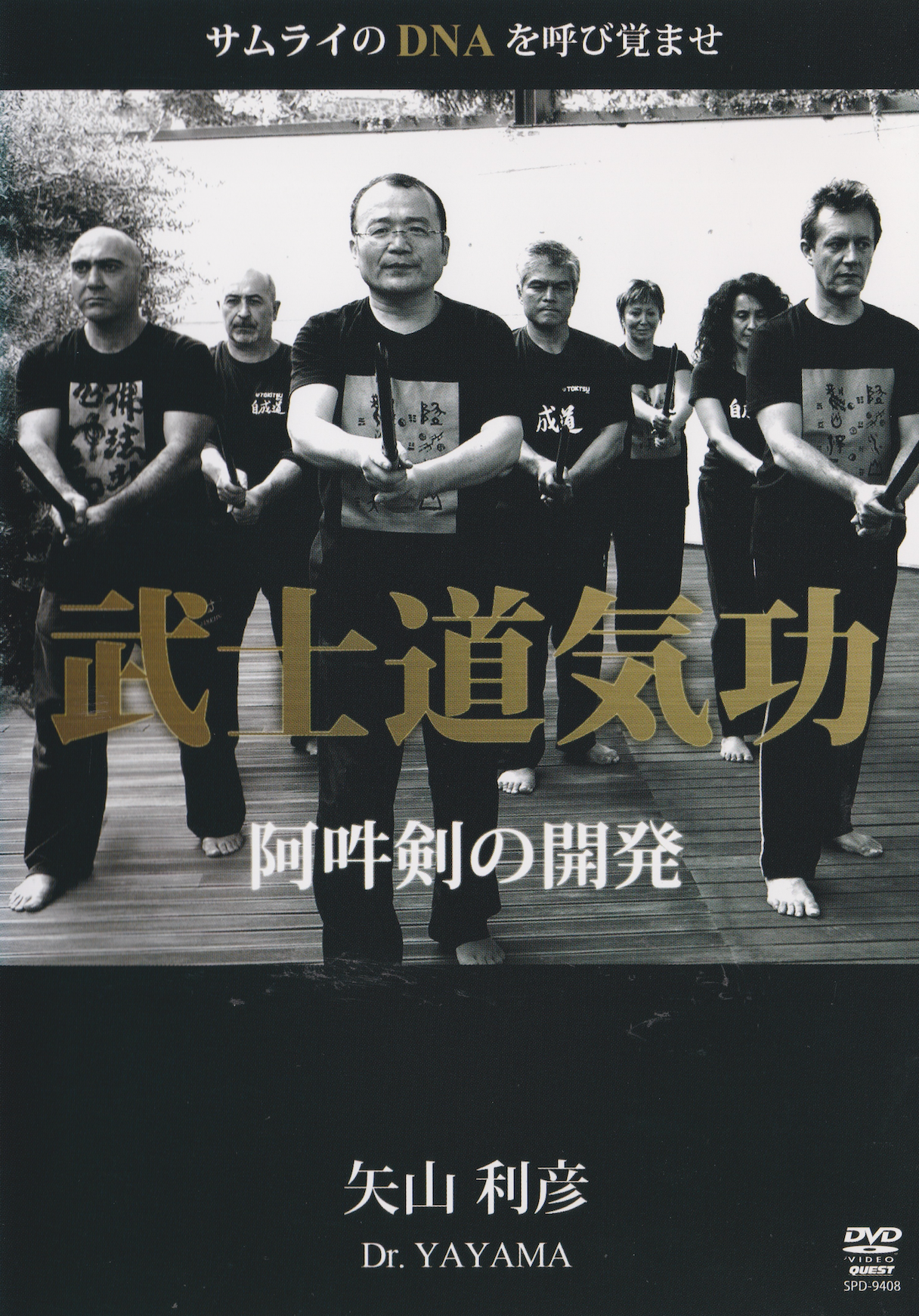 Bushido Qigong DVD with Toshihiko Yayama (Preowned)