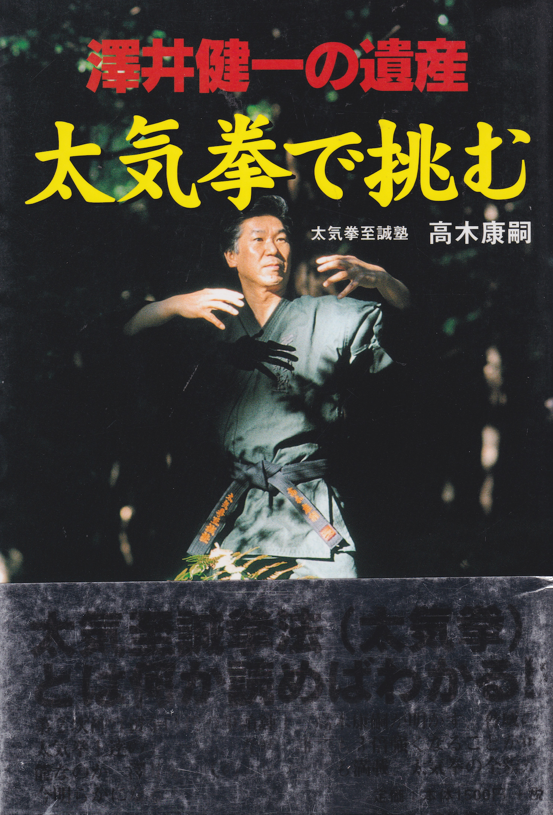 Challenging Kenichi Sawai's Taikiken Legacy Book by Koji Takagi (Preowned)