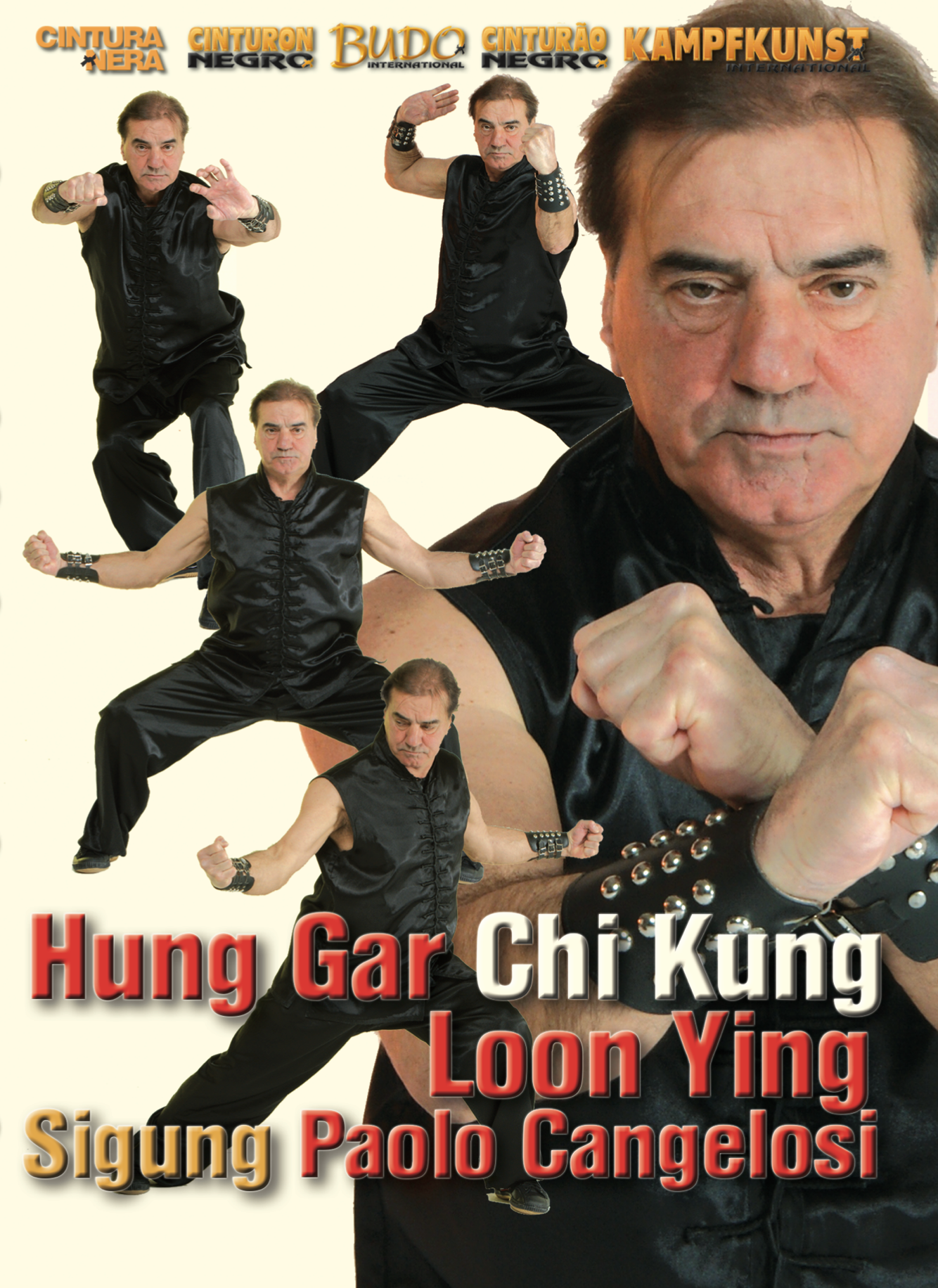 Chi Kung Hung Gar Loon Ying DVD with Paolo Cangelosi