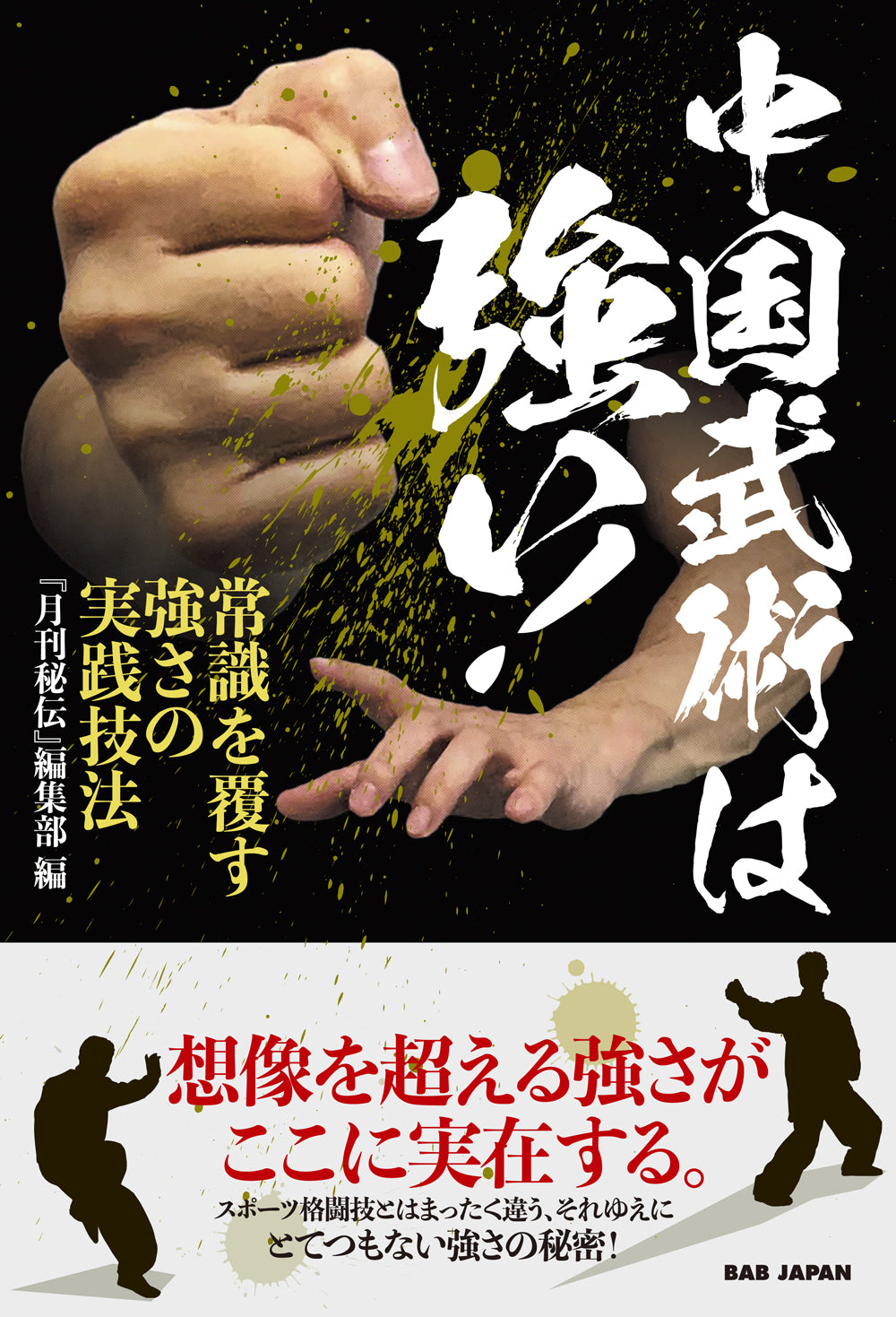 Chinese Martial Arts Are Strong Book