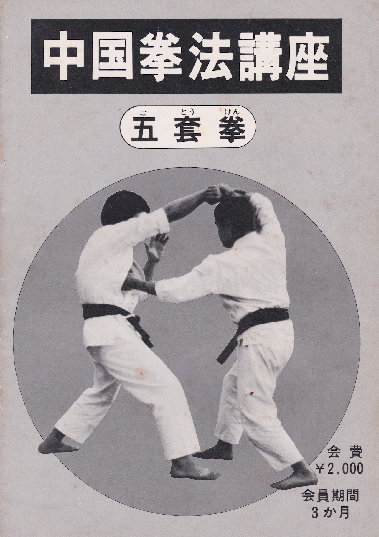 Chinese Martial Arts Wu Bu Quan (Five Stance Form) 3 Month Correspondence Course Book (Preowned)