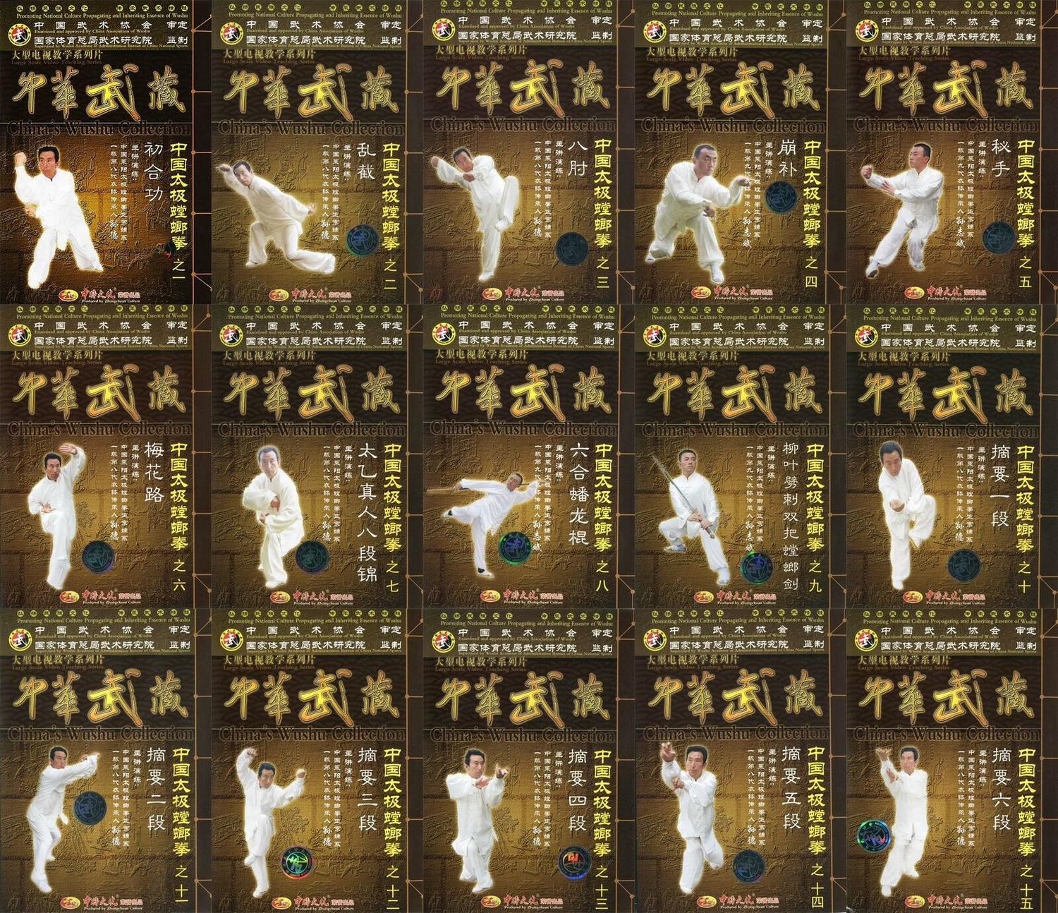 Chinese Traditional Wushu Taiji Mantis Boxing 23 DVD Set by Sun De & Sun Zhibin