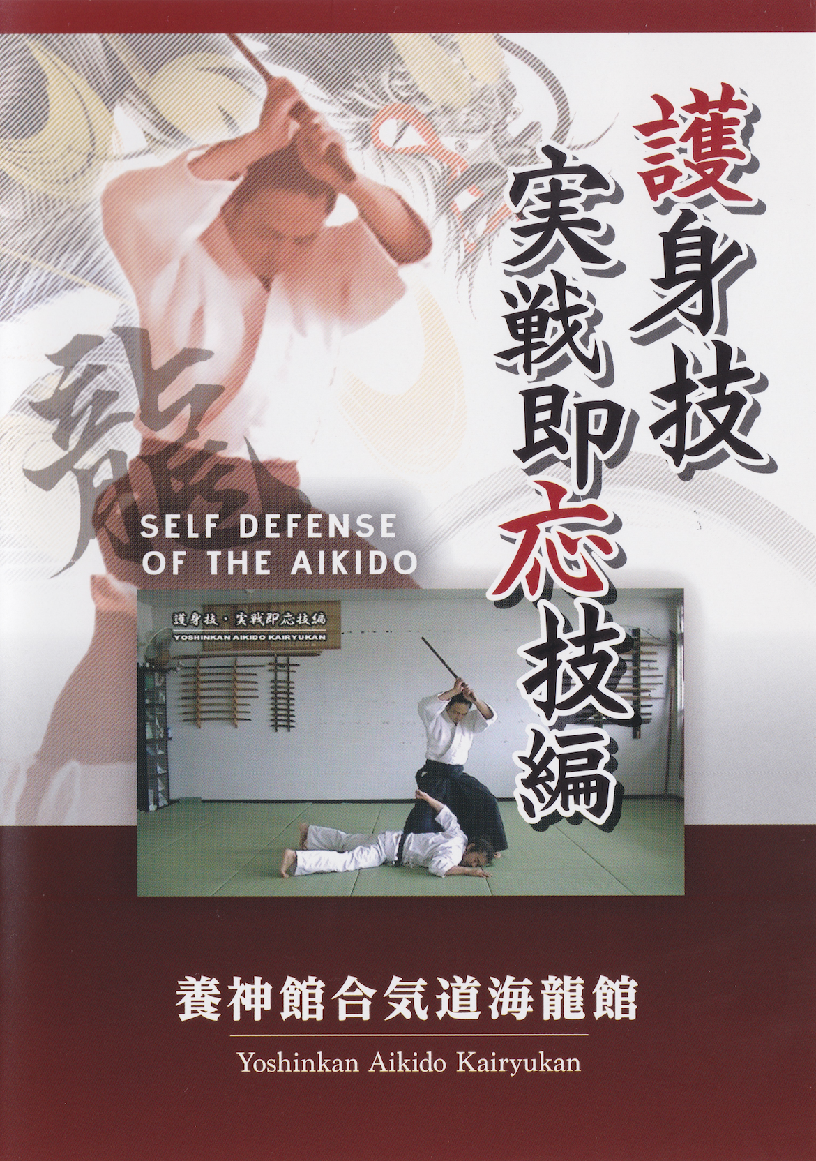 Combat Ready Aikido Skills DVD by Ryoichiro Higa (Preowned)